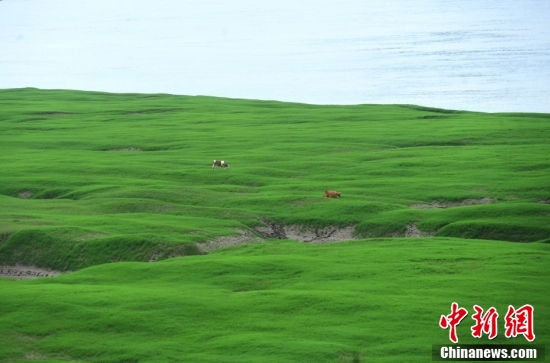 【江河奔腾看中国】万里长江，只此三峡休闲区蓝鸢梦想 - Www.slyday.coM