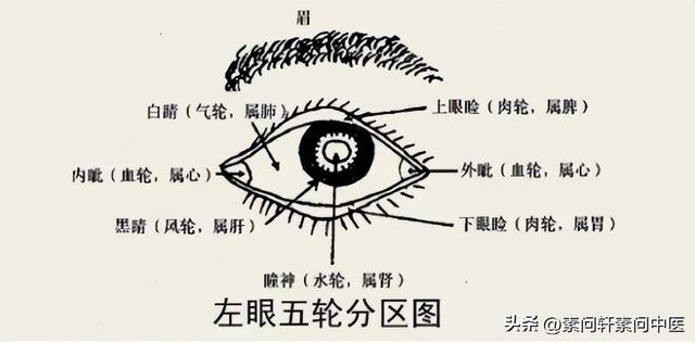 "五轮学说"认为眼睛的各个部位及功能分属于五脏,其中:两眼内眦,外眦