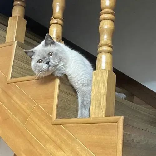 那些虎了吧唧的操作……好像不知道怀孕的也就都没影响？休闲区蓝鸢梦想 - Www.slyday.coM