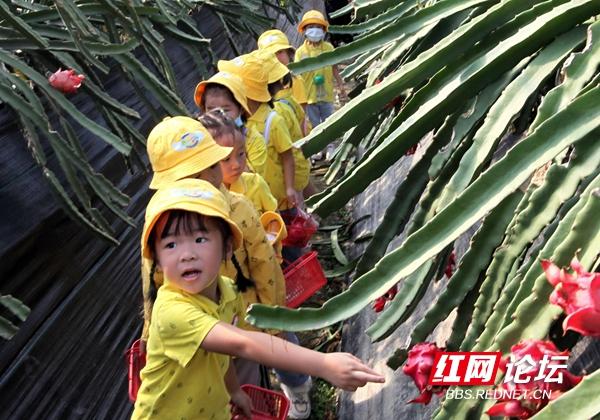 当幼儿园里的小朋友走进果园，萌娃们的梦里一定有了丰收的图画休闲区蓝鸢梦想 - Www.slyday.coM