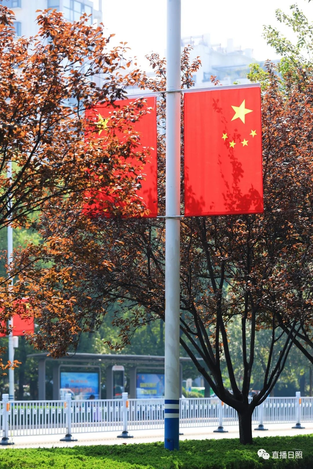 日照，红了！氛围感已拉满→休闲区蓝鸢梦想 - Www.slyday.coM