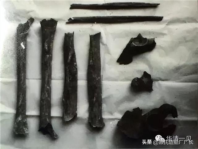 成功鉴定方志敏烈士遗骨的年轻法医,二十三岁就一鸣惊人的陈世贤|方志敏|国民党_新浪新闻