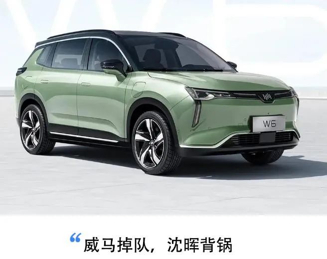 传统派沈晖,刹不住威马的车__财经头条