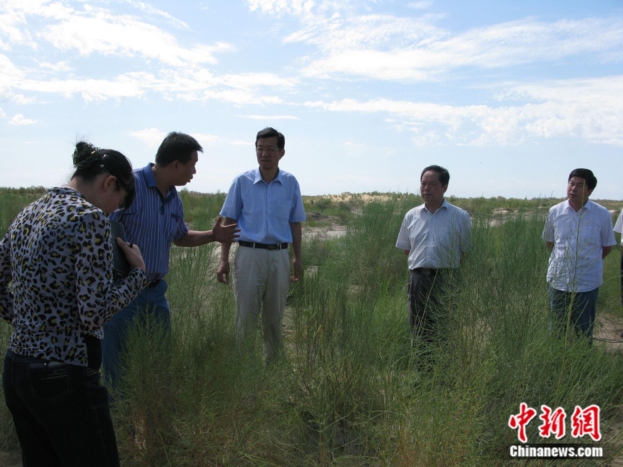 【中国梦·大国工匠篇】从一棵树到一片林,他用三十余年守护沙漠绿洲