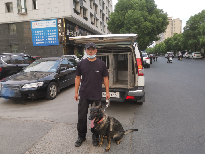 金华汪汪队立大功！偷来的现金和金器藏哪儿了？3岁警犬2分钟锁定目标休闲区蓝鸢梦想 - Www.slyday.coM