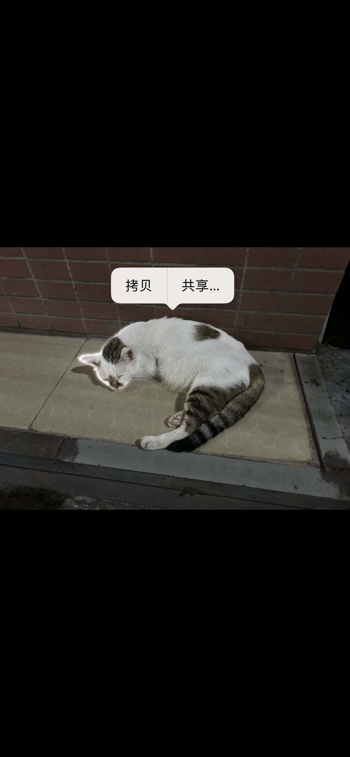 iPhone 14 评测：还是你的熟悉的它，但也变得更好用了休闲区蓝鸢梦想 - Www.slyday.coM