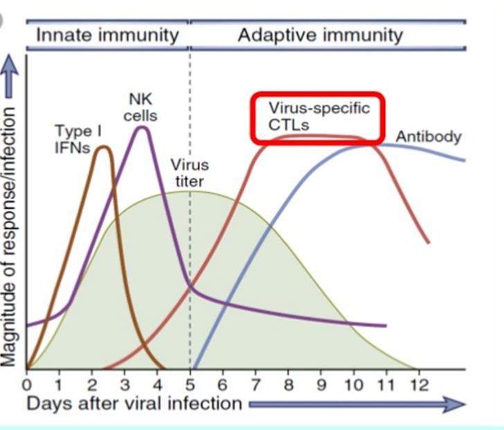 过敏就是因为免疫力低？这个误区可能很多人都有休闲区蓝鸢梦想 - Www.slyday.coM