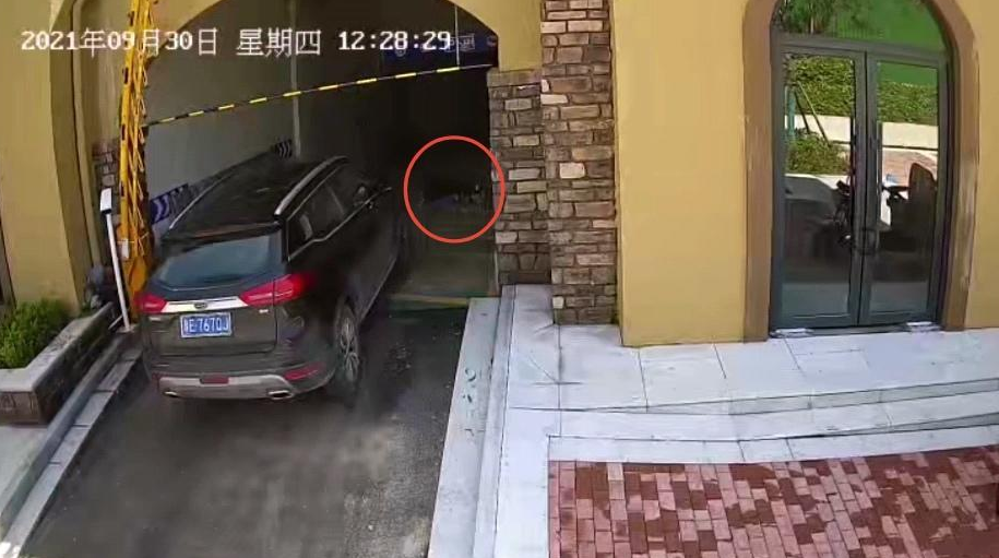 清洁工躺卧车库通道午休被碾死后续：取保候审新规出台后，被羁押1年的涉事司机取保回家休闲区蓝鸢梦想 - Www.slyday.coM