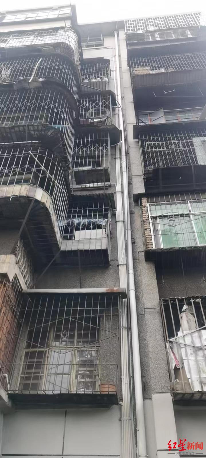 4岁女童独自在家坠下8楼多处骨折 爸爸：虽然孩子不是亲生的，但借钱也要治休闲区蓝鸢梦想 - Www.slyday.coM
