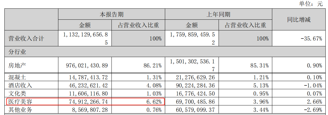 2022年上半年苏宁环球营收项目，图片来源：公司财报