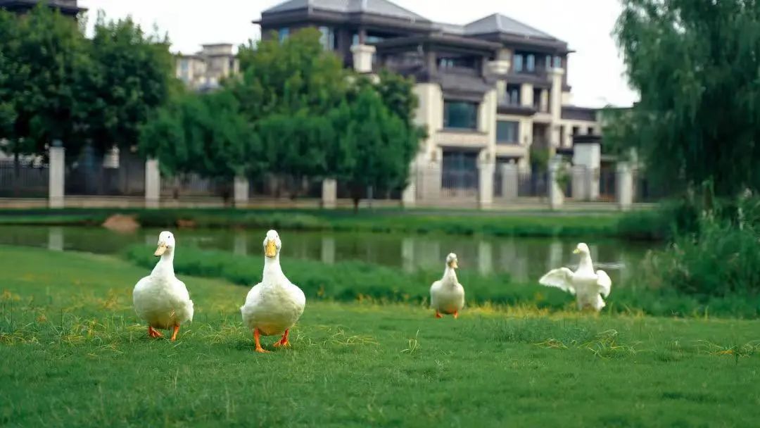 假期出逃计划上线，不出郑州也能放肆玩乐！休闲区蓝鸢梦想 - Www.slyday.coM