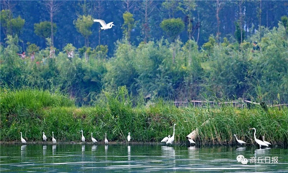 打造“黄河故道—古老的水上长城”旅游品牌正当其时休闲区蓝鸢梦想 - Www.slyday.coM
