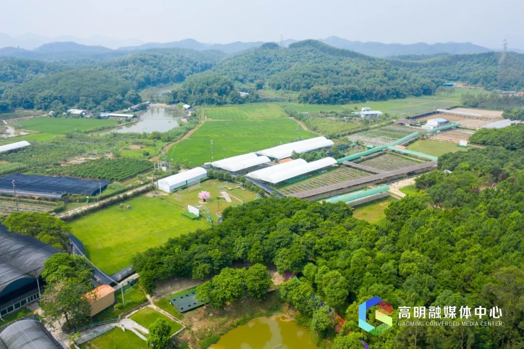 露营、桨板、音乐会...这个国庆假期，不必远行留在高明，就能慢享美好时光休闲区蓝鸢梦想 - Www.slyday.coM