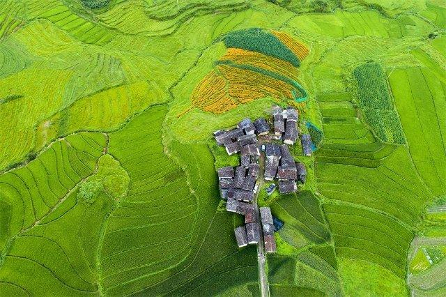 金秋的腾冲有多美？一组美图带你感受→休闲区蓝鸢梦想 - Www.slyday.coM