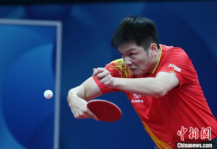 国乒男团队员樊振东在比赛中。　安源 摄