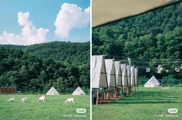国庆七天浪｜第四浪：“营”在假期！来看我们的露营分层推荐休闲区蓝鸢梦想 - Www.slyday.coM