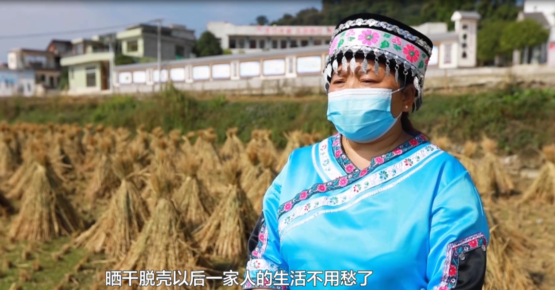 晒丰收，迎国庆！这幅用辣椒和稻谷拼成的国旗，是他们最深情的告白休闲区蓝鸢梦想 - Www.slyday.coM