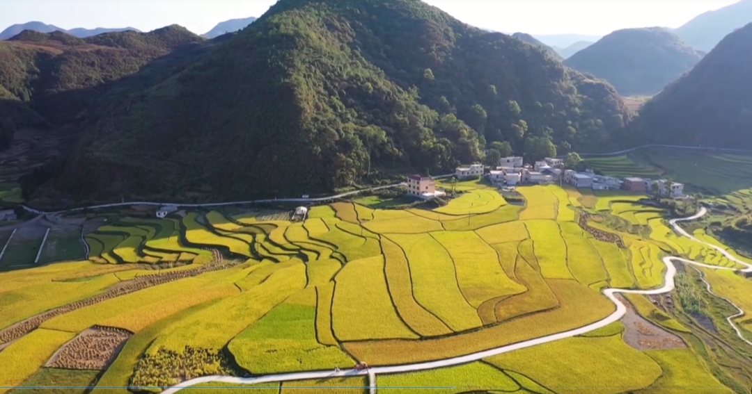 晒丰收，迎国庆！这幅用辣椒和稻谷拼成的国旗，是他们最深情的告白休闲区蓝鸢梦想 - Www.slyday.coM