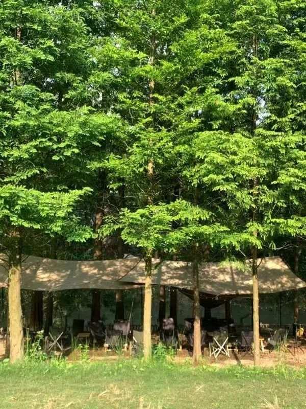 国庆七天浪｜第四浪：“营”在假期！来看我们的露营分层推荐休闲区蓝鸢梦想 - Www.slyday.coM