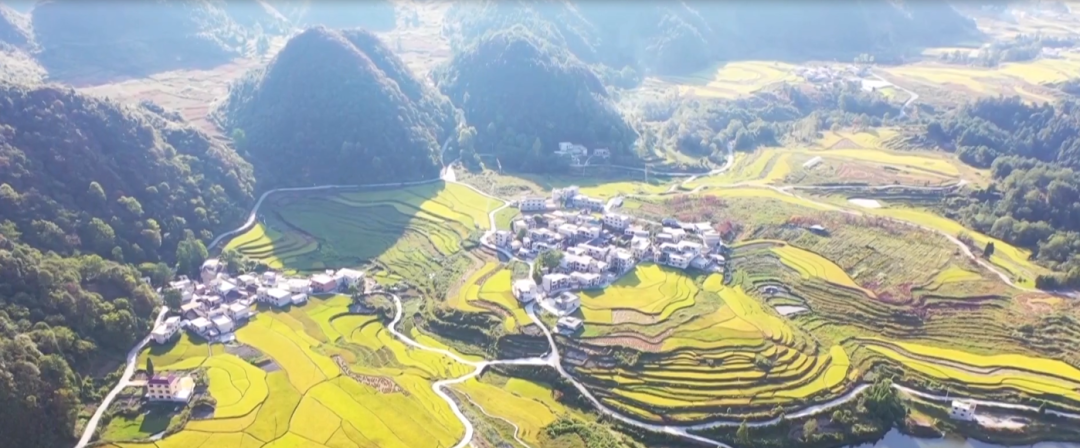 晒丰收，迎国庆！这幅用辣椒和稻谷拼成的国旗，是他们最深情的告白休闲区蓝鸢梦想 - Www.slyday.coM