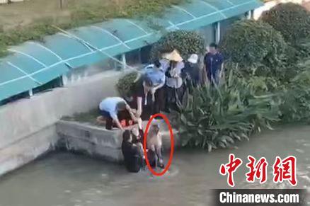 女子点赞“救人英雄” 仔细一看竟是自己丈夫休闲区蓝鸢梦想 - Www.slyday.coM