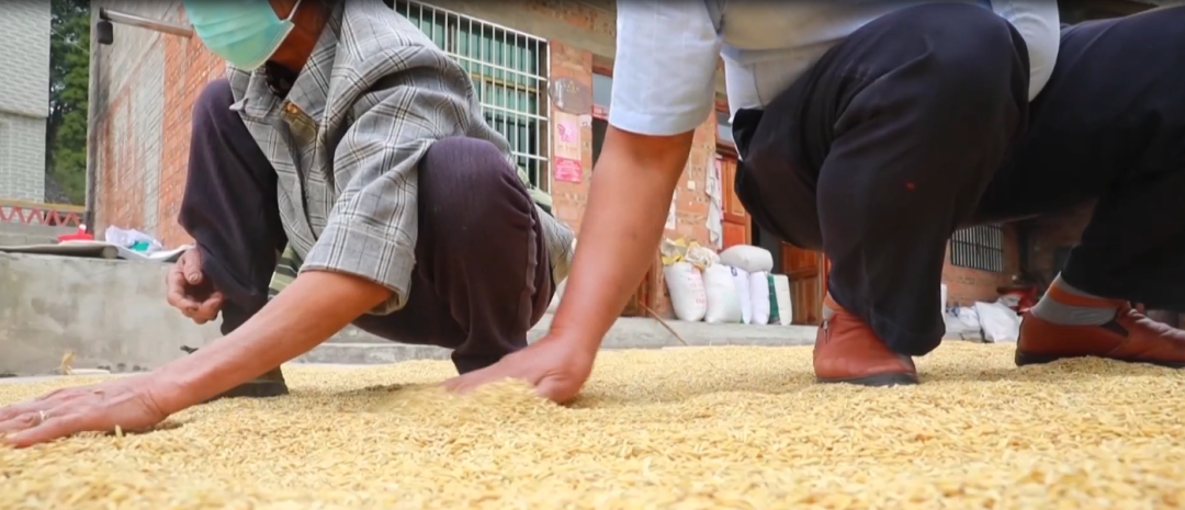 晒丰收，迎国庆！这幅用辣椒和稻谷拼成的国旗，是他们最深情的告白休闲区蓝鸢梦想 - Www.slyday.coM