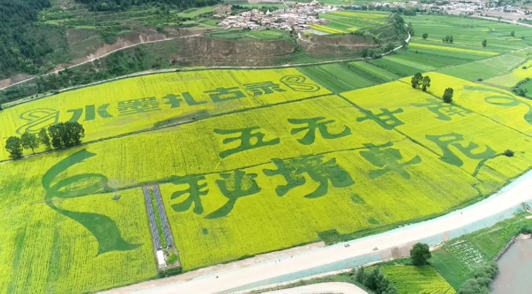 修“洛克之路”用了三吨草籽 “甘南秘境”的深秋探访可以安排上了！休闲区蓝鸢梦想 - Www.slyday.coM