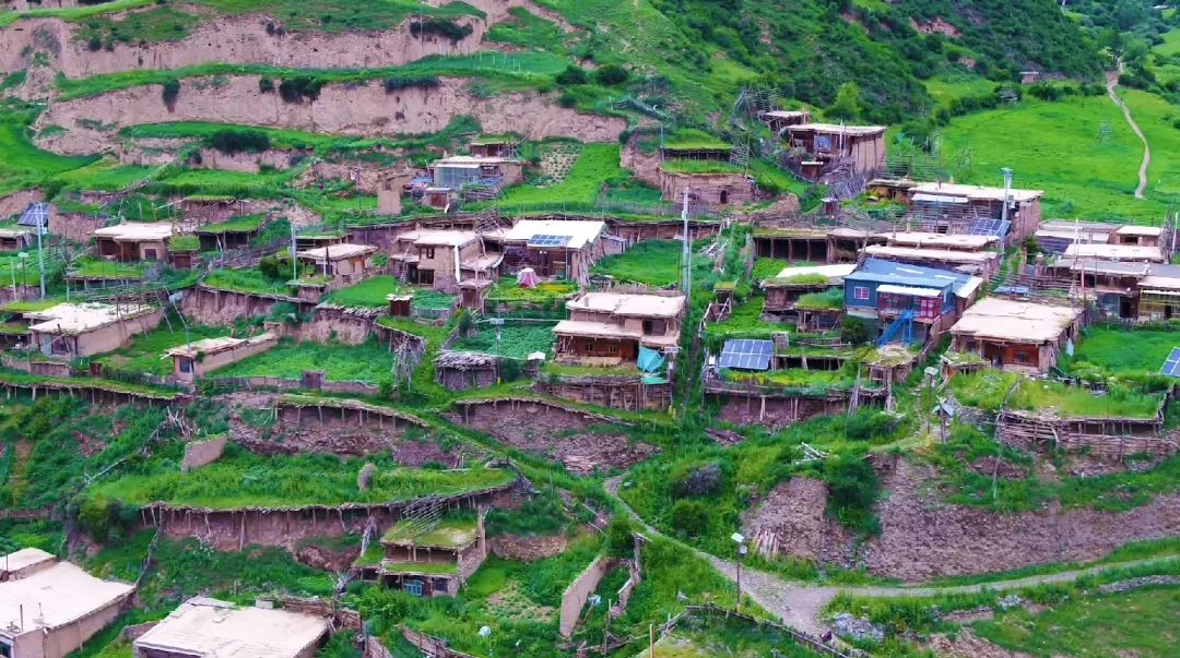 修“洛克之路”用了三吨草籽 “甘南秘境”的深秋探访可以安排上了！休闲区蓝鸢梦想 - Www.slyday.coM