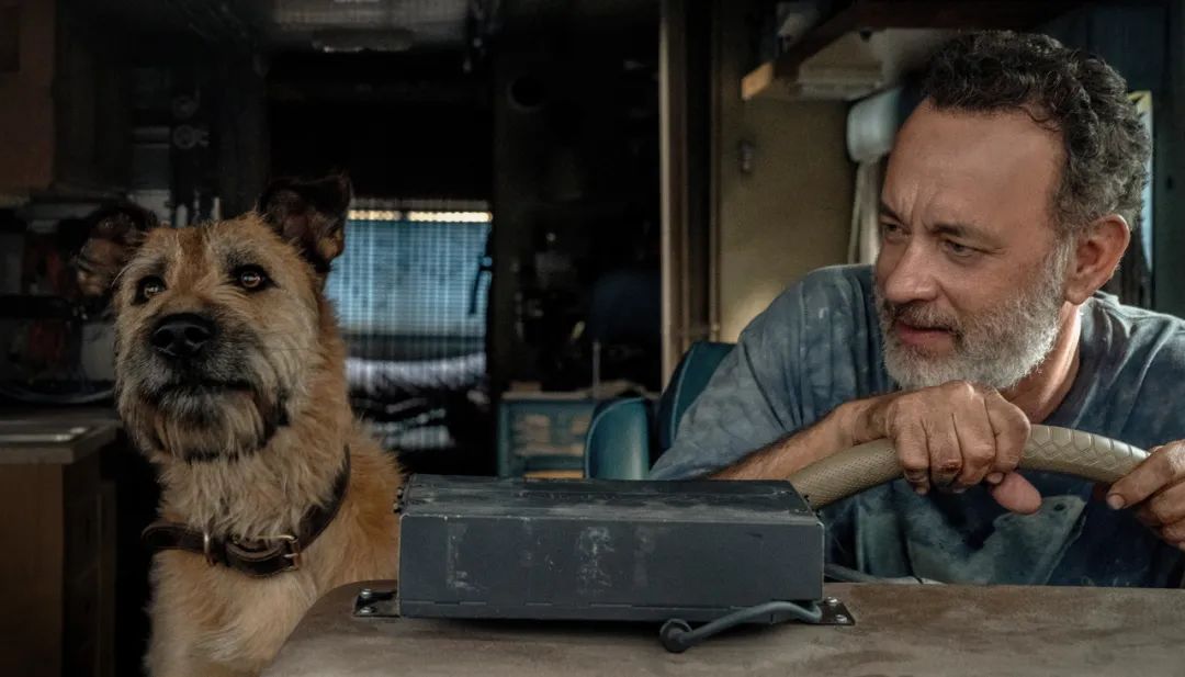 法国古代史学家保罗·韦纳逝世，汤姆·汉克斯将出版首部长篇小说｜文化周报休闲区蓝鸢梦想 - Www.slyday.coM