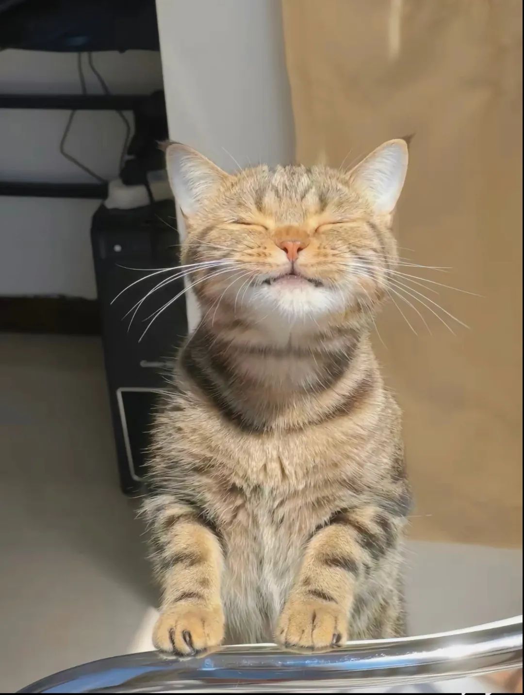 图集休闲区蓝鸢梦想 - Www.slyday.coM