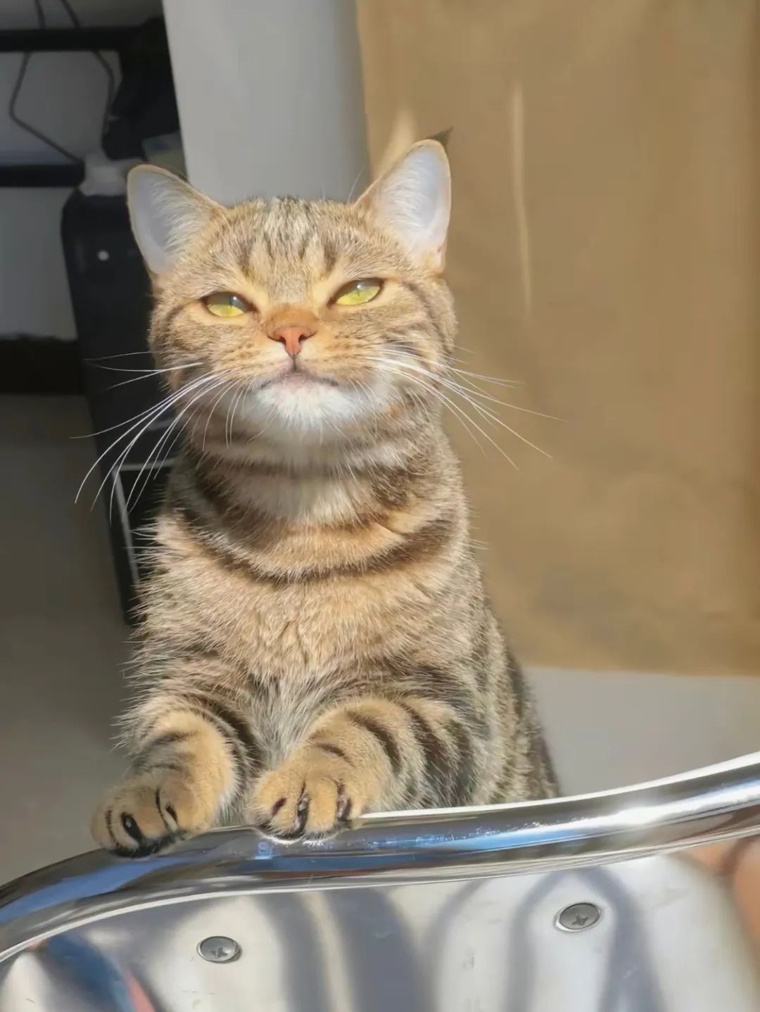 图集休闲区蓝鸢梦想 - Www.slyday.coM