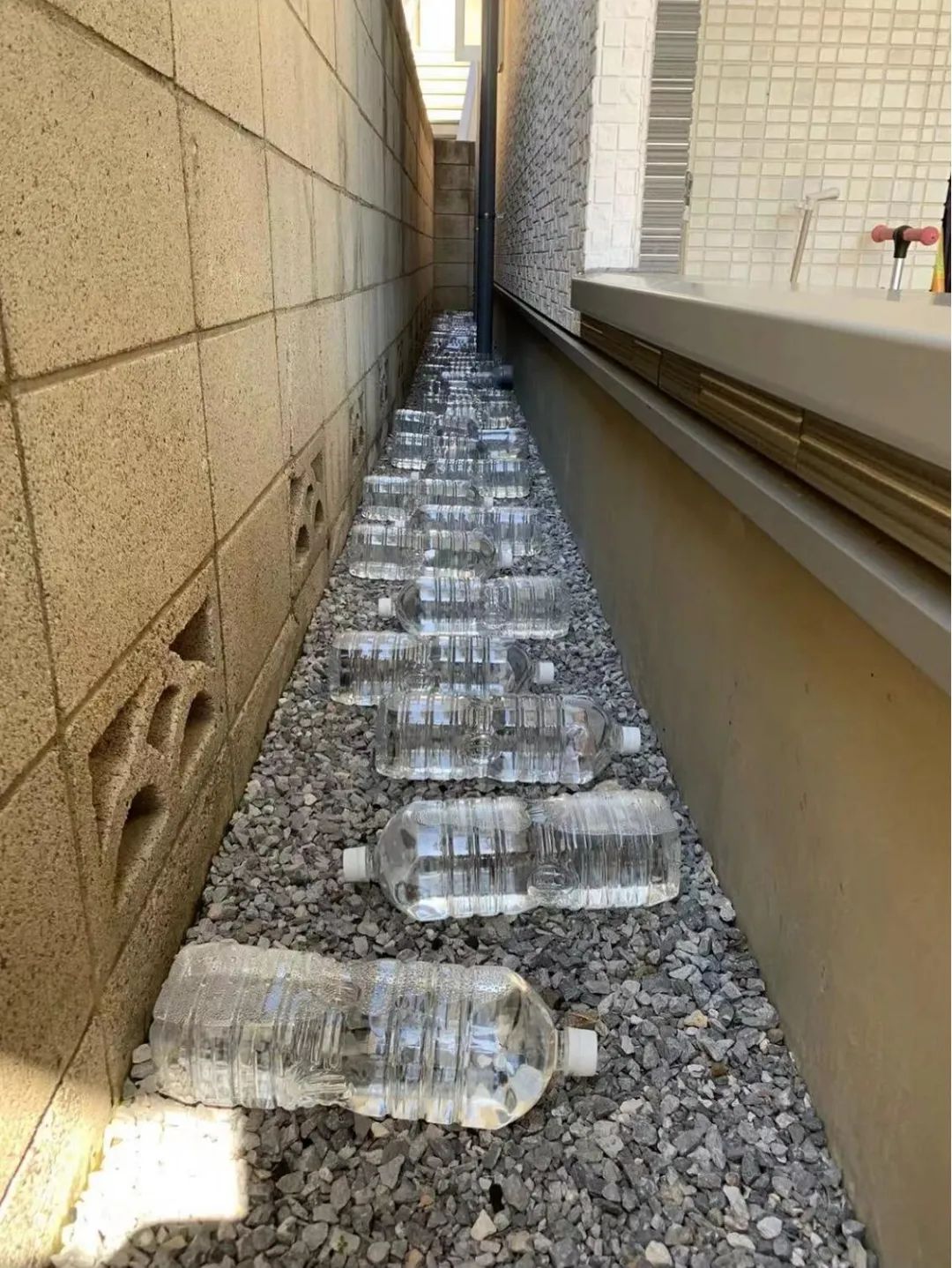 图集休闲区蓝鸢梦想 - Www.slyday.coM