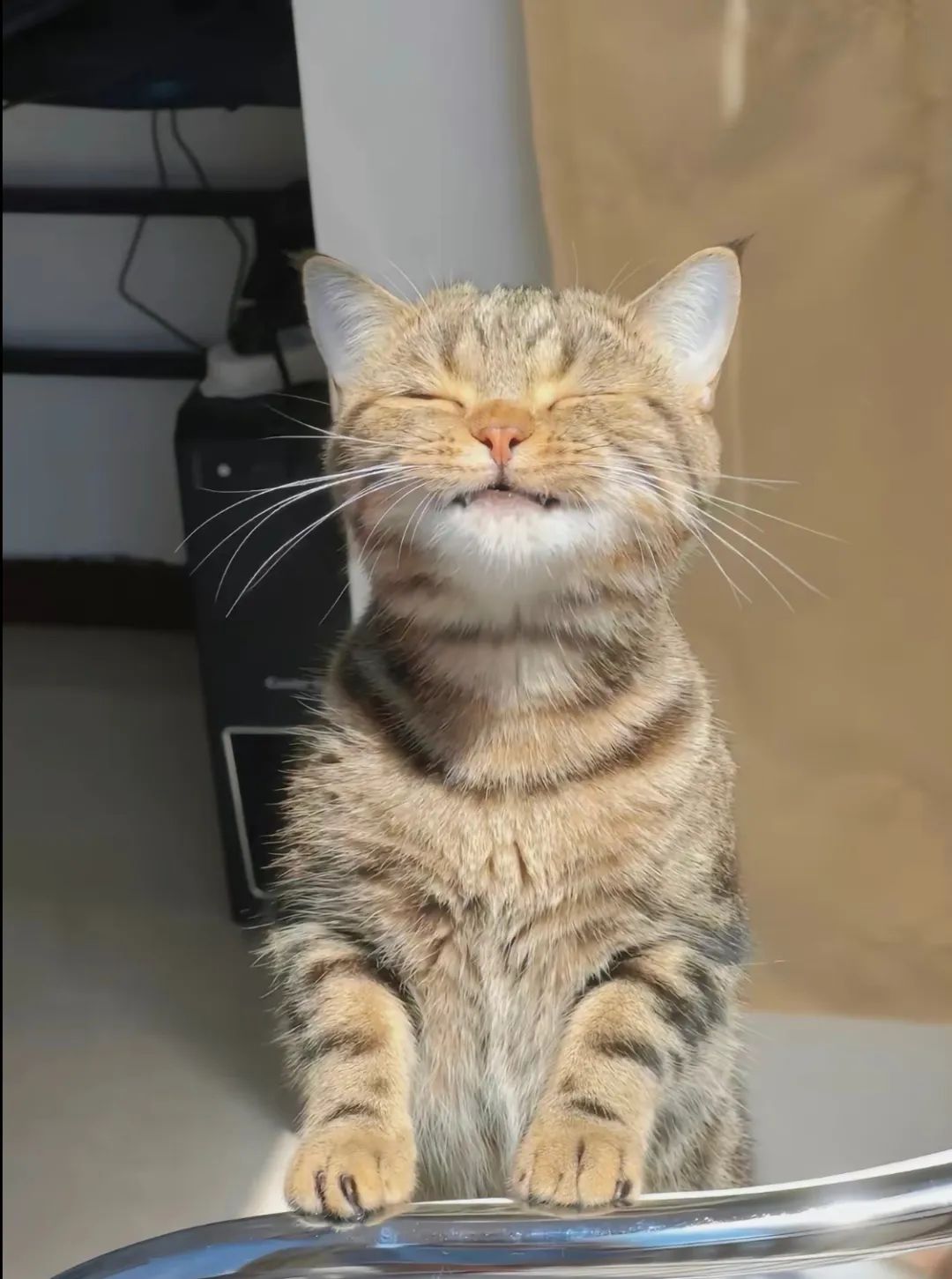 图集休闲区蓝鸢梦想 - Www.slyday.coM