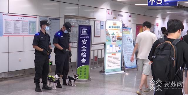 南京地铁超小号警犬入列：“状元豆”和“糖芋苗”国庆正式上岗休闲区蓝鸢梦想 - Www.slyday.coM
