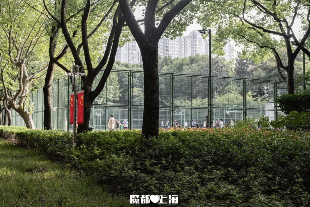 阿迪达斯徐家汇公园篮球场向你发起位置共享,点击出发!__财经头条