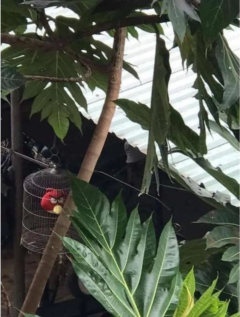 图集休闲区蓝鸢梦想 - Www.slyday.coM