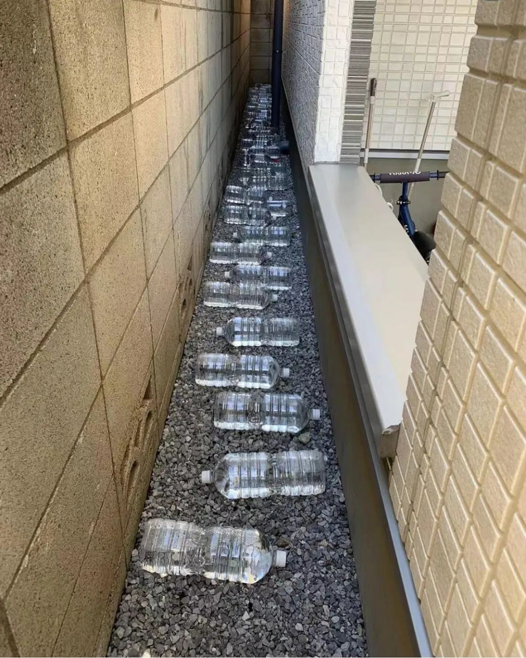 图集休闲区蓝鸢梦想 - Www.slyday.coM