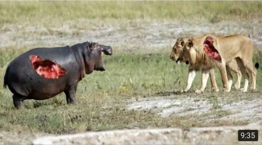 图集休闲区蓝鸢梦想 - Www.slyday.coM