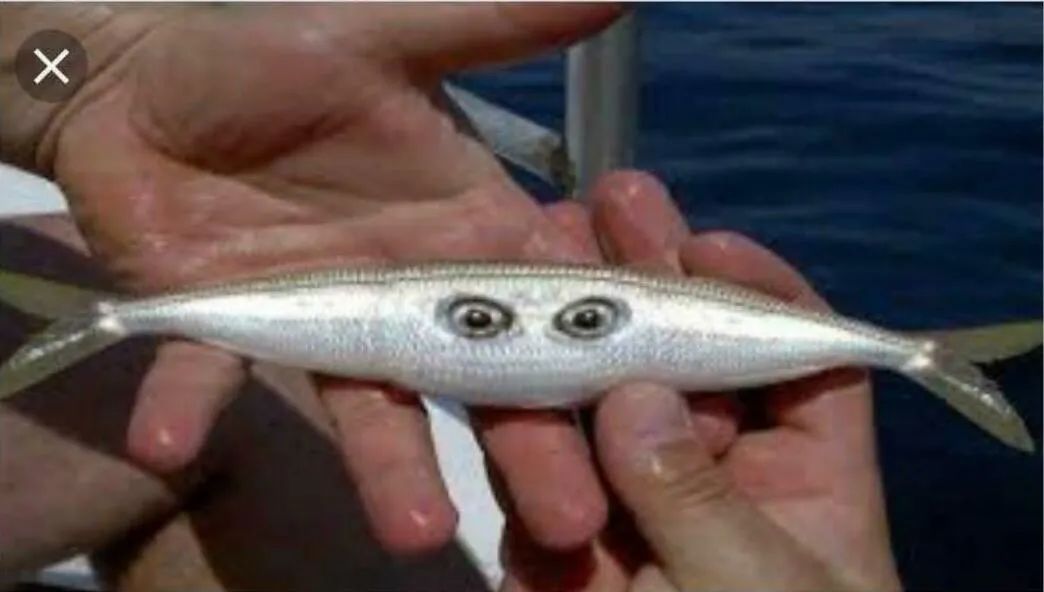 图集休闲区蓝鸢梦想 - Www.slyday.coM