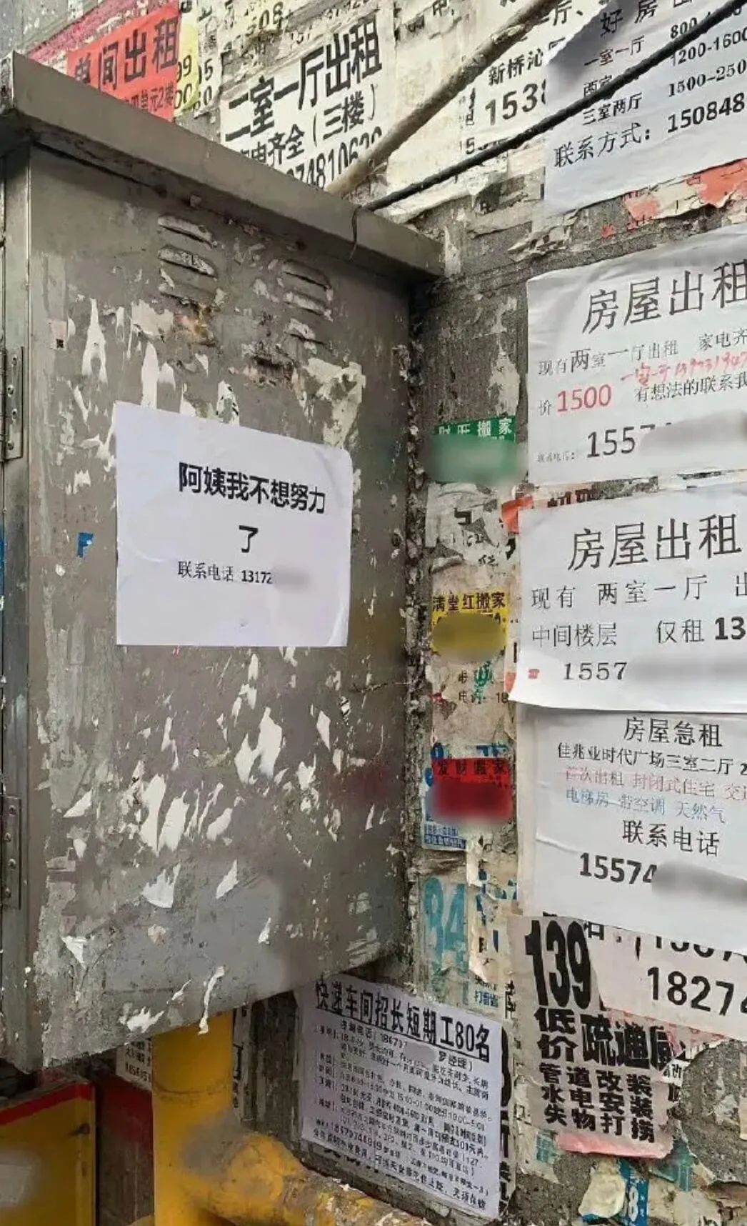 图集休闲区蓝鸢梦想 - Www.slyday.coM