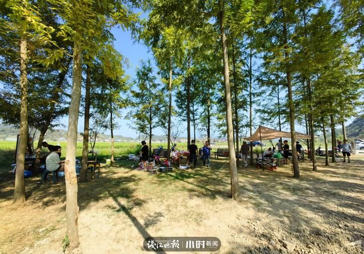 藏不住了！临安这个宝藏打卡地，假期氛围感直接拉满休闲区蓝鸢梦想 - Www.slyday.coM