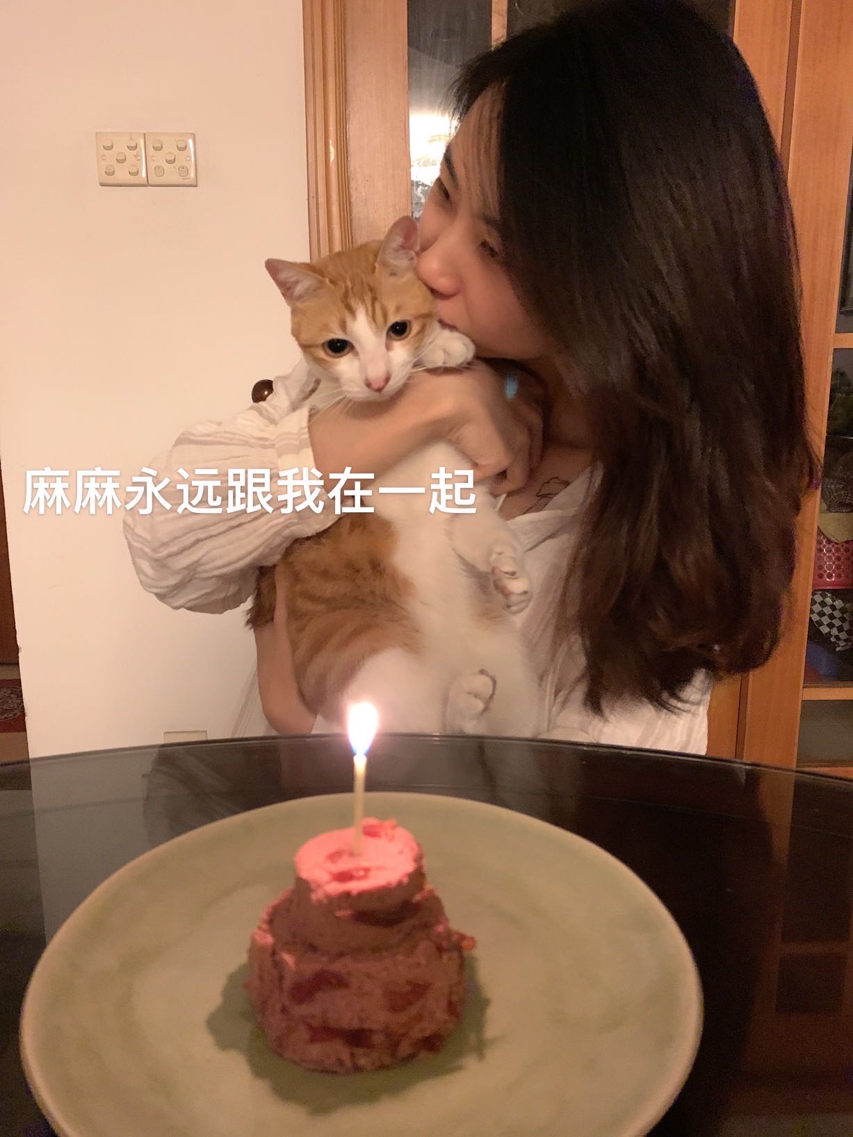 猴头菇成为猫咪平替天花板，当铲屎官有多治愈？休闲区蓝鸢梦想 - Www.slyday.coM