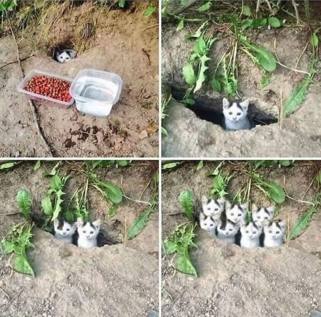 图集休闲区蓝鸢梦想 - Www.slyday.coM