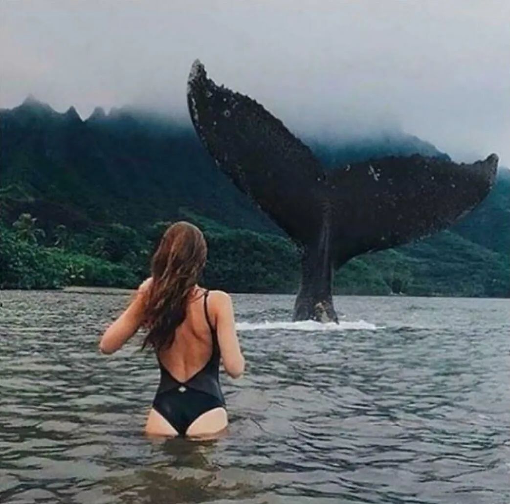 图集休闲区蓝鸢梦想 - Www.slyday.coM