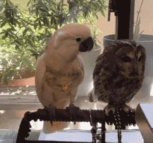 图集休闲区蓝鸢梦想 - Www.slyday.coM