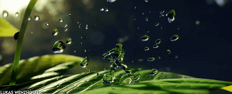 为了这个比赛，国外网友开始疯狂整活休闲区蓝鸢梦想 - Www.slyday.coM