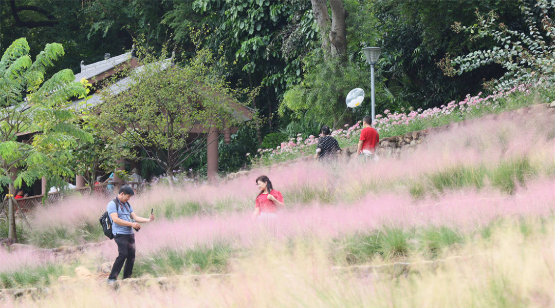 最高降温18℃以上！12年来最早寒潮预警发布！广西人兴奋地点进来......【930新闻眼】休闲区蓝鸢梦想 - Www.slyday.coM