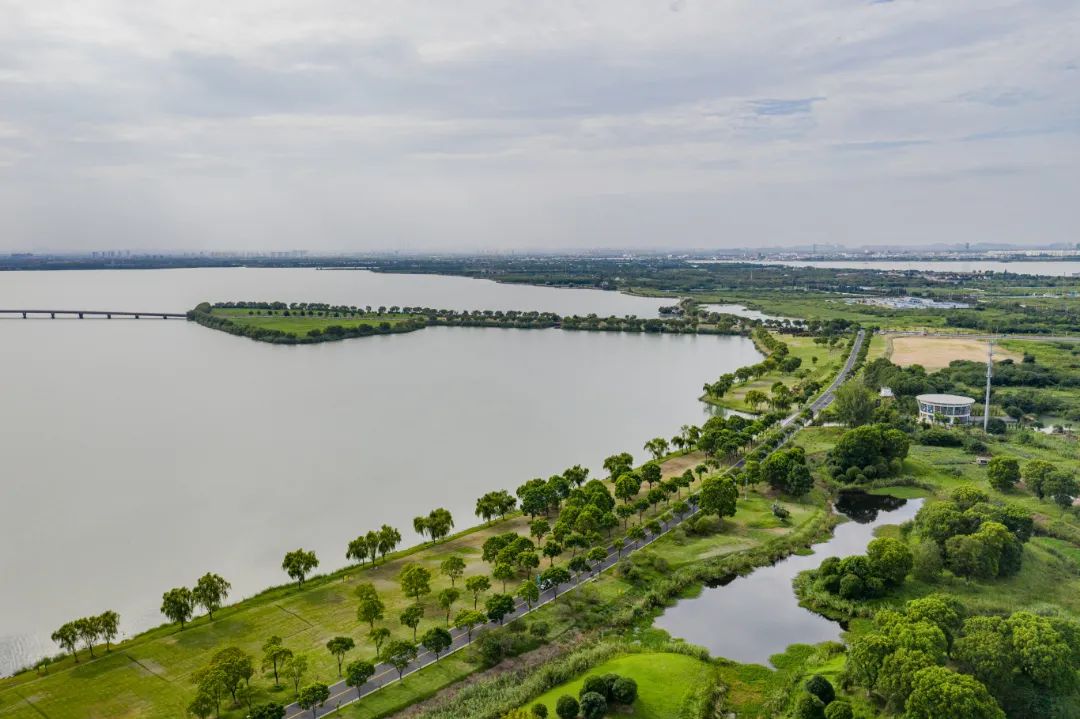 苏州漕湖:自然人文平分漕湖秋色|苏州市_新浪新闻