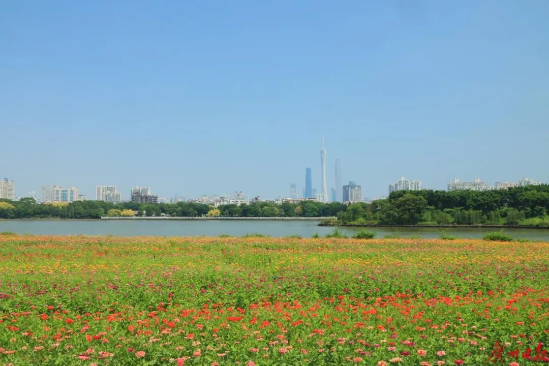 国庆假期，他们的过法有点特别……休闲区蓝鸢梦想 - Www.slyday.coM