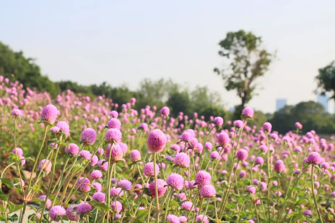 国庆假期，他们的过法有点特别……休闲区蓝鸢梦想 - Www.slyday.coM